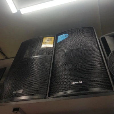 Impulse Ev-15pro Professional 4000watts 15" Speaker