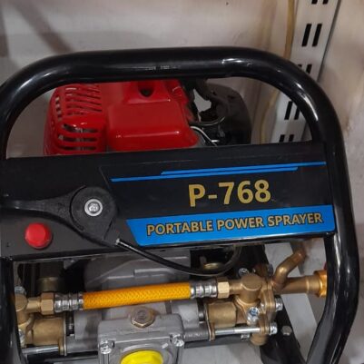 Portable Power Car wash Machine P-768