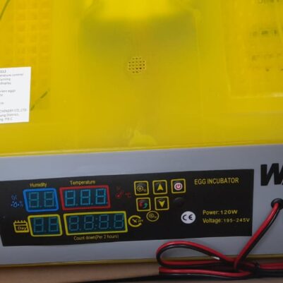 Wasp Auto Dc Ac 56 egg incubator
