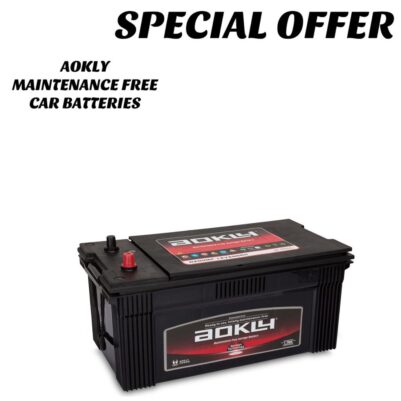 Aokly din N200 car battery