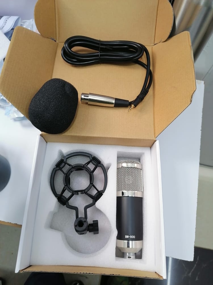 Em800 Studio Condenser Microphone