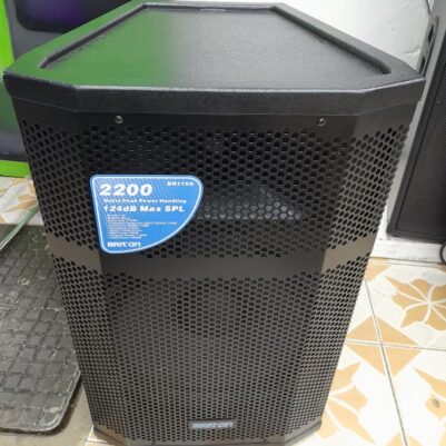 Briton Powered Wooden Speaker 2200w