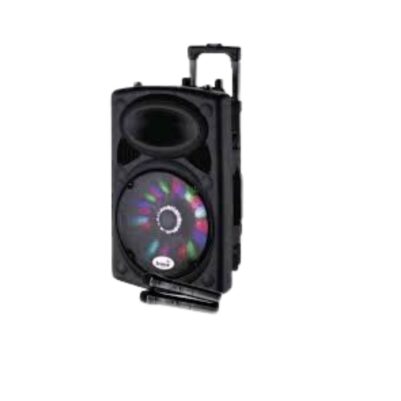 Icona Trolley Bluetooth Speaker 12inch