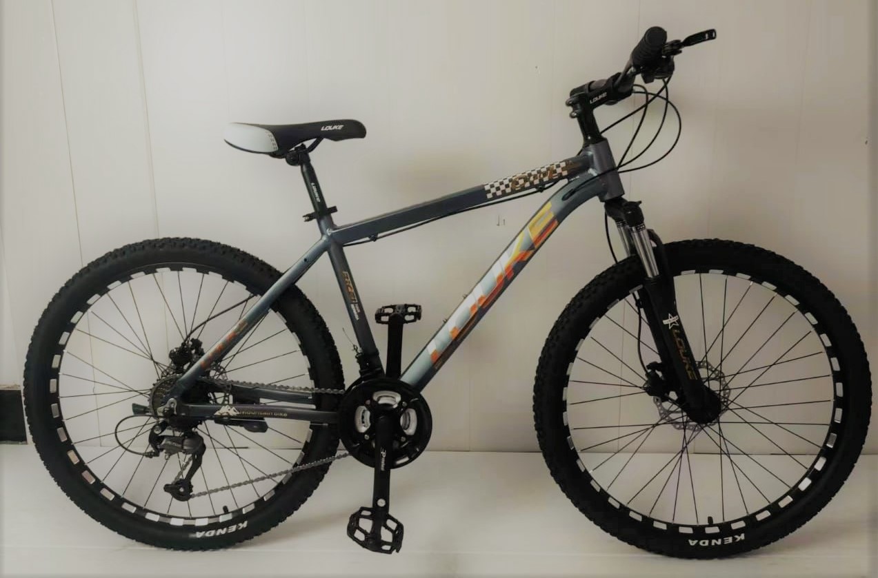 Adult Bicycle Black Size 24