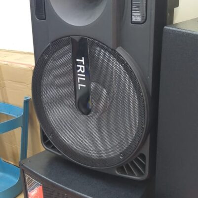 Trill 15" Portable Bluetooth Speaker With 2mics
