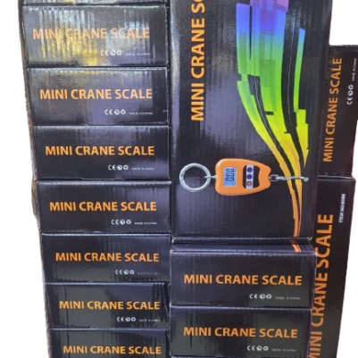 200kg mini crane scale