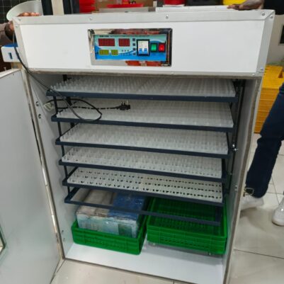 Egg incubator capacity 1056eggs